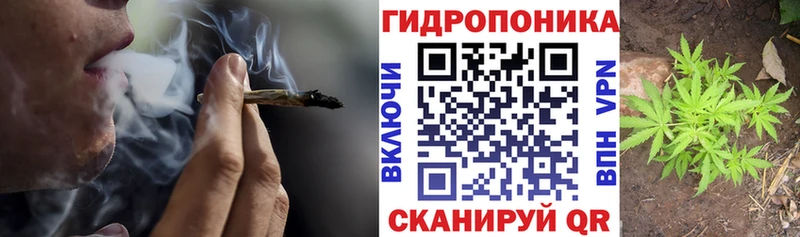 Марихуана White Widow  Чернушка 